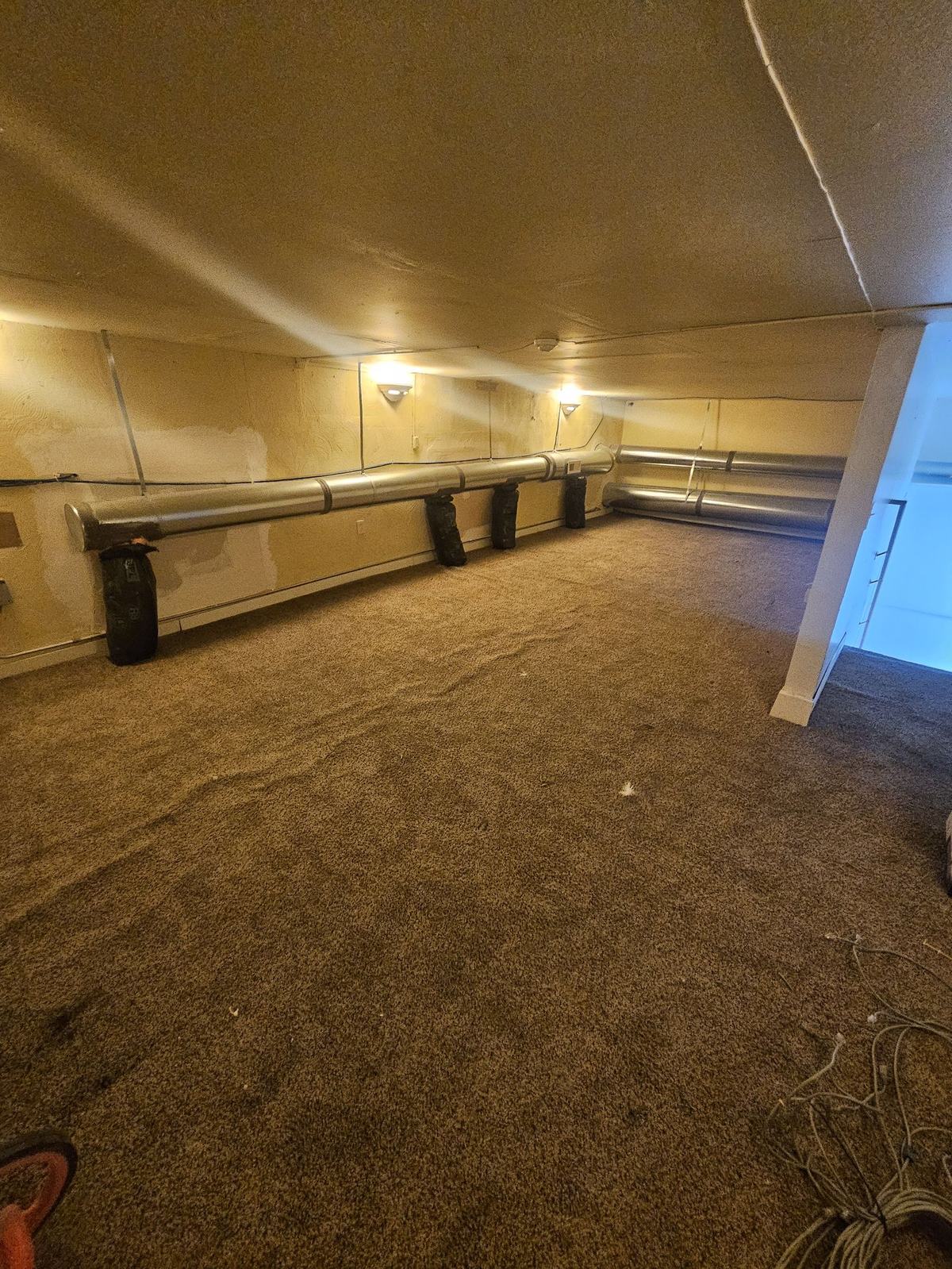 Carpeted upstairs storage area